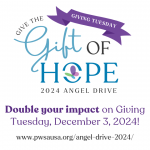 2024 PWSA | USA Giving Tuesday