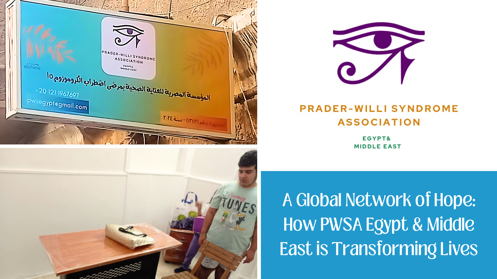 PWSA Egypt & Middle East